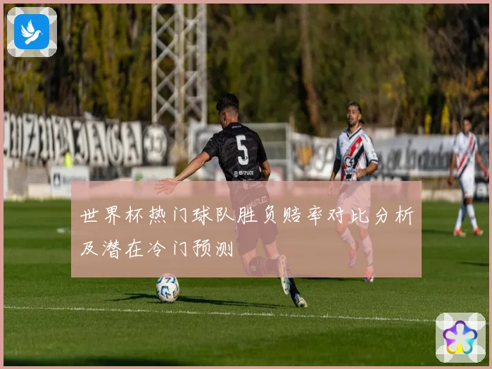 世界杯热门球队胜负赔率对比分析及潜在冷门预测