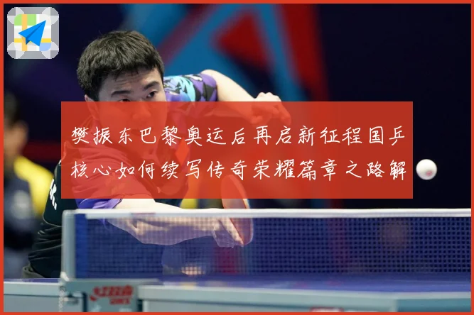 樊振东巴黎奥运后再启新征程国乒核心如何续写传奇荣耀篇章之路解析