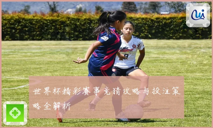 世界杯精彩赛事竞猜攻略与投注策略全解析