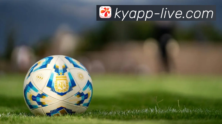 开云平台展示图