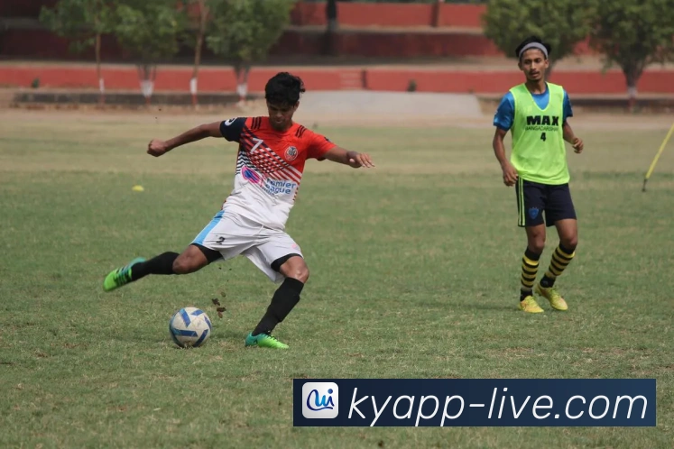 开云官网最新入口全面解析与品牌购物体验全指南